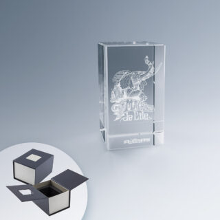 Bloc de Verre Gravé de 9 cm en format vertical avec gravure en 3D