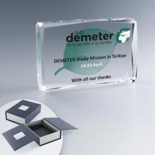 Trophée Facette en verre horizontal avec impression numérique couleur et coffret rigide de protection.