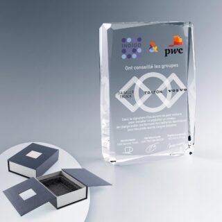 Trophée Facette vertical en verre avec marquage couleur et gravure laser 2D personnalisée, livré dans un coffret rigide.