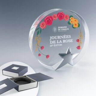 Trophée rond en verre avec étoile, gravure laser 2D et marquage couleur personnalisés, présenté dans un coffret rigide.