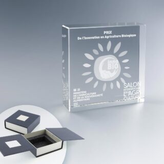 Trophée carré en verre avec gravure laser 2D et 3D personnalisée, présenté dans un coffret rigide haut de gamme.