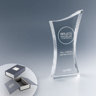 Trophée Original Élégance en Verre avec Gravure Laser 2D