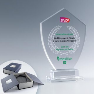 Trophée en verre Emblème personnalisé avec texte et logo