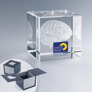 Cube en verre personnalisé avec gravure 3D d'un cerveau et texte.